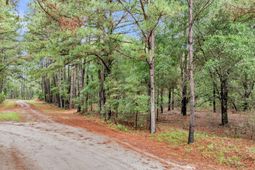 0 Josie Ridge Road photo 4