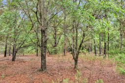 0 Josie Ridge Road photo 4
