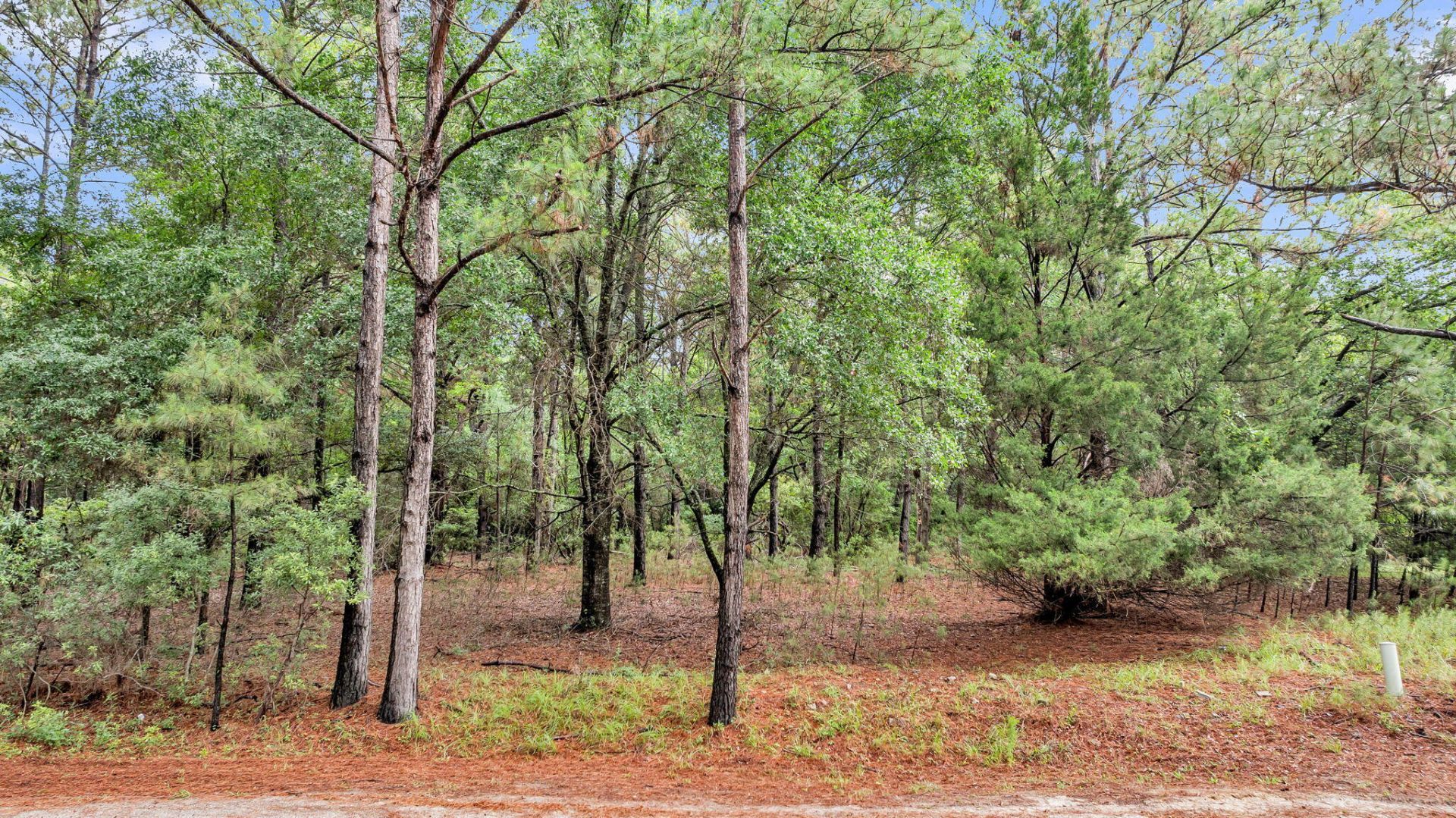 0 Josie Ridge Road Photo 6