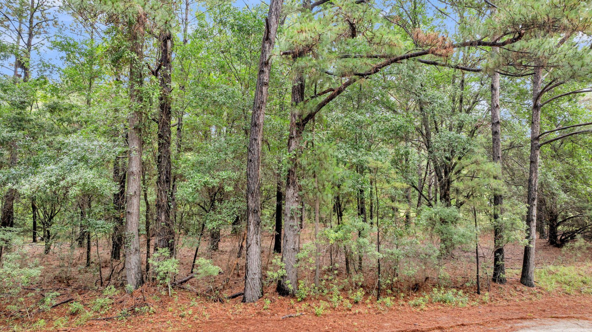 0 Josie Ridge Road Photo 7