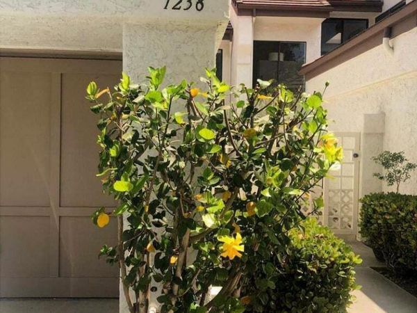 1238 Calle Bonita , Camarillo, CA 93012