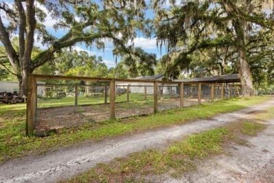3551 NW 60th Avenue , Chiefland, FL 32626 Photo