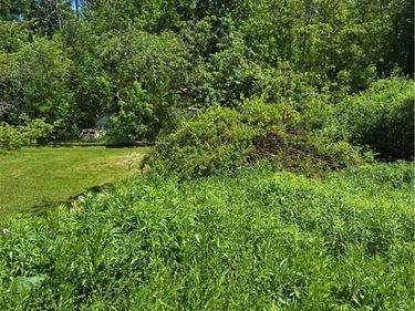 Snowden Hill Road , New Hartford, NY 13413