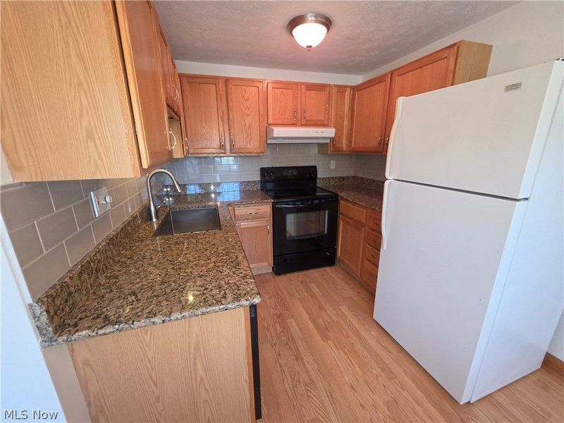 7372 Avon Drive, Mentor, OH 44060 Photo 9