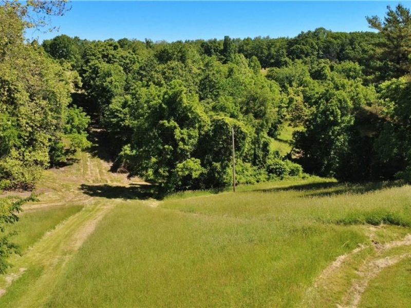 5759 College Hill Road, Cambridge, OH 43725 Photo 10