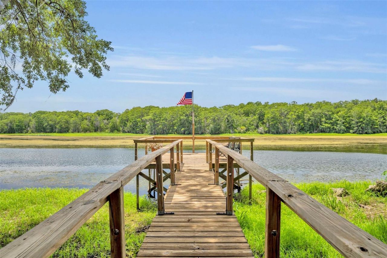 4885 Cr 307, Lake Panasoffkee, FL 33538 Photo