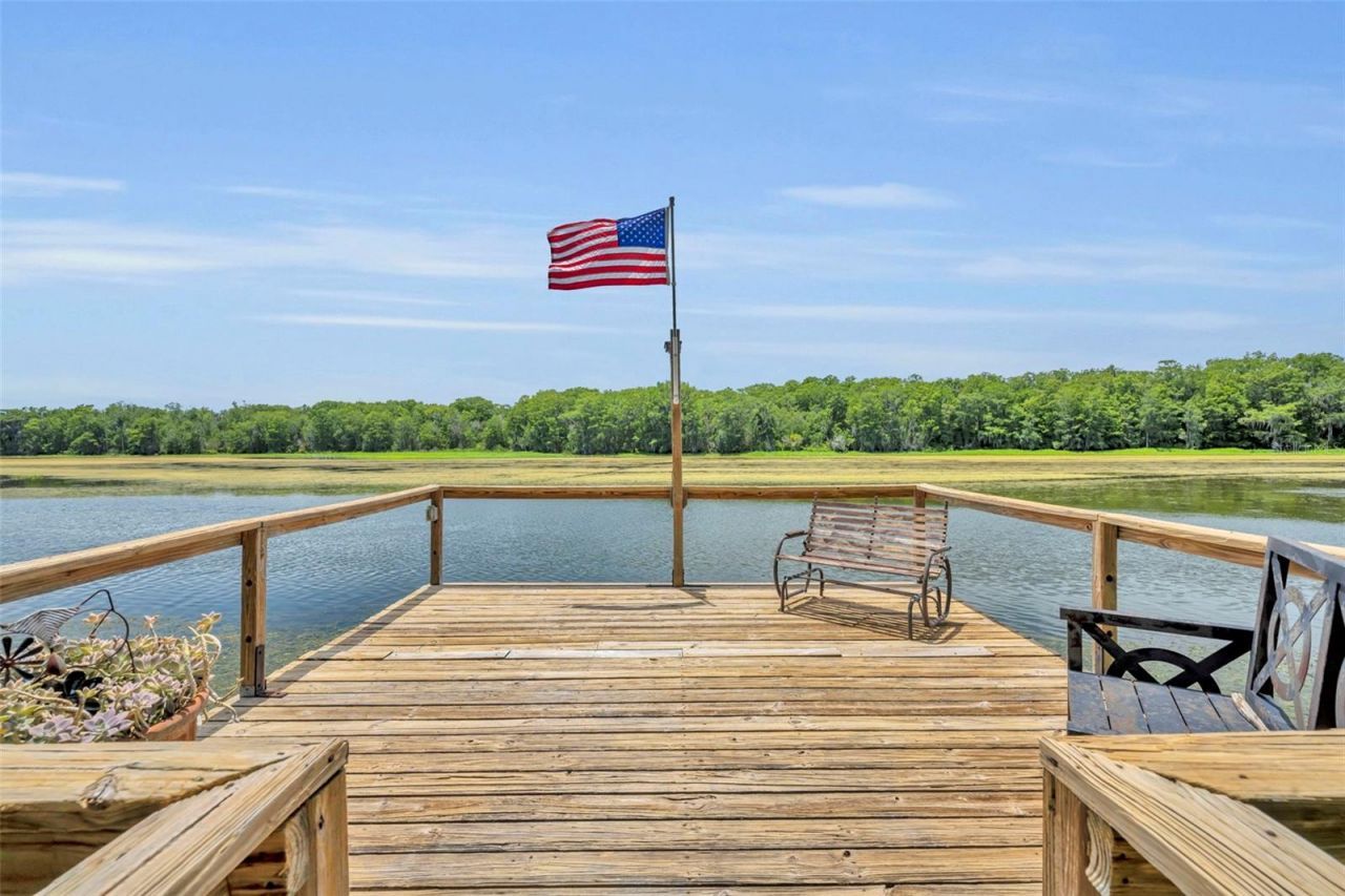 4885 Cr 307, Lake Panasoffkee, FL 33538 Photo