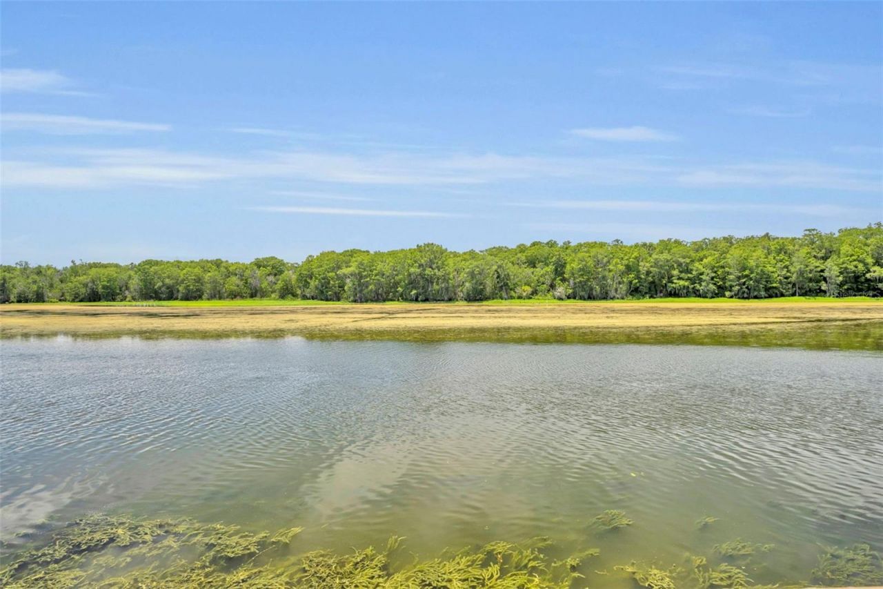 4885 Cr 307, Lake Panasoffkee, FL 33538 Photo