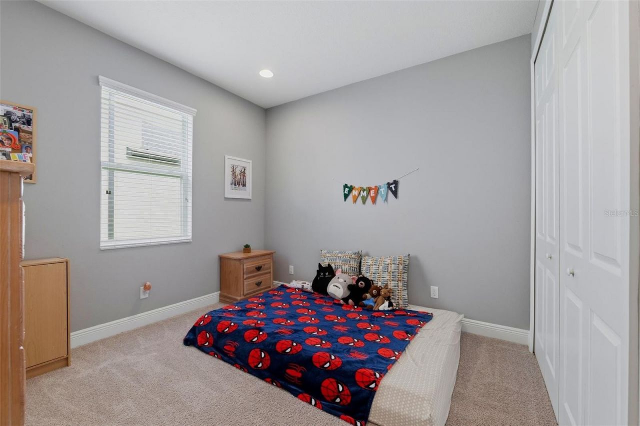 11903 Ranchers Gap Drive , Odessa, FL 33556 Photo