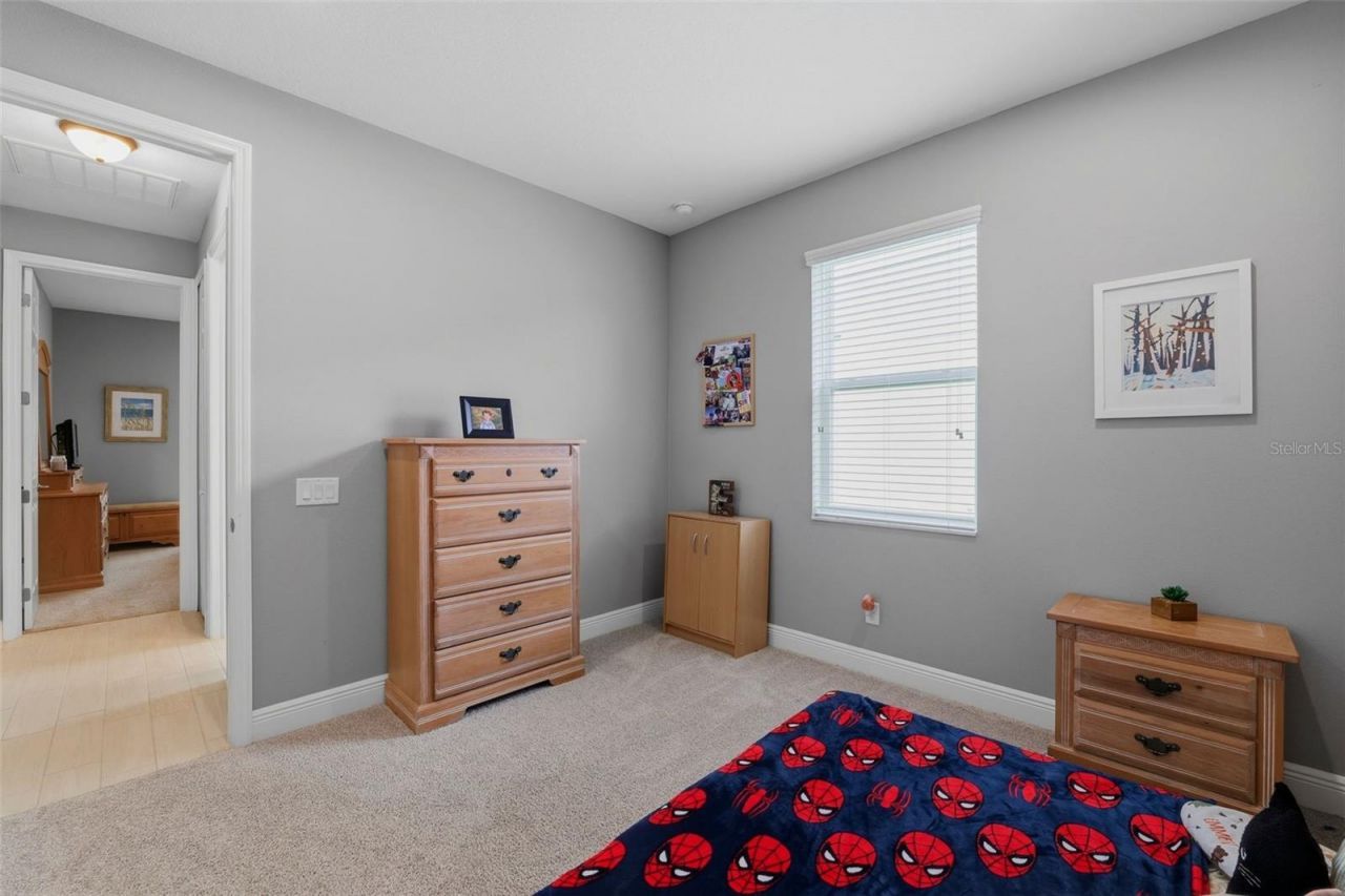 11903 Ranchers Gap Drive , Odessa, FL 33556 Photo