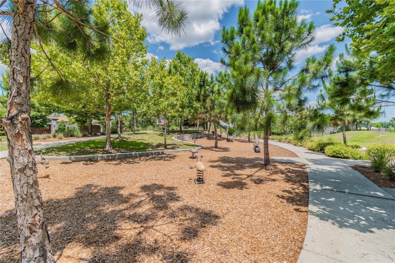 11903 Ranchers Gap Drive , Odessa, FL 33556 Photo