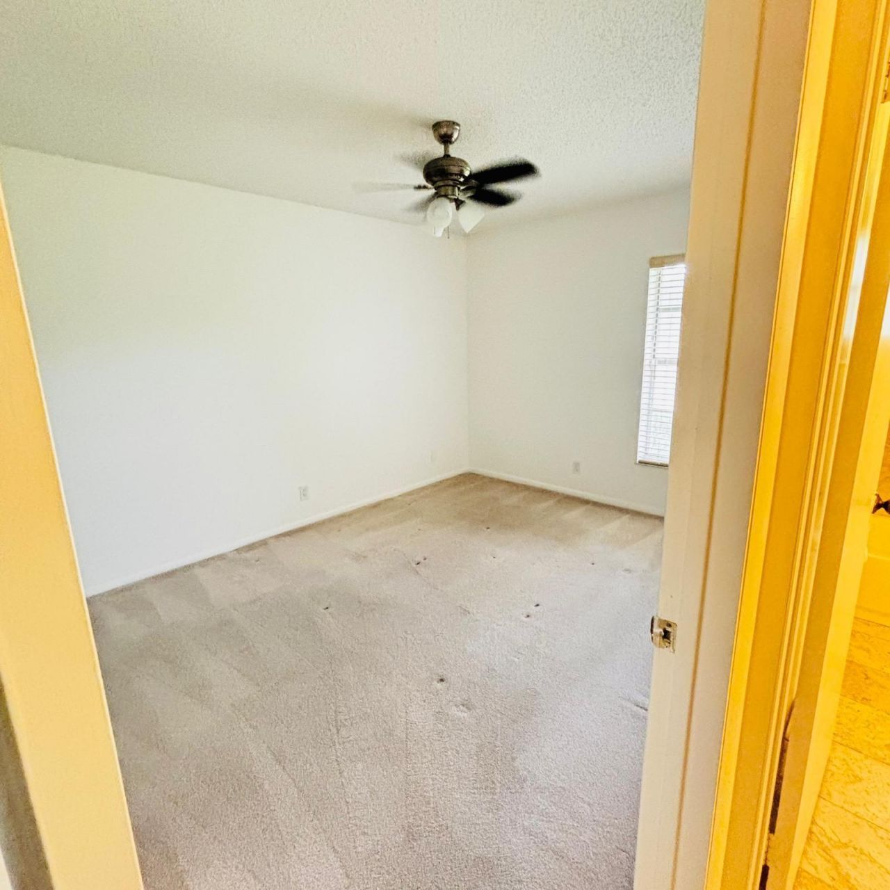 386 Bennington Lane, Lake Worth, FL 33467 Photo