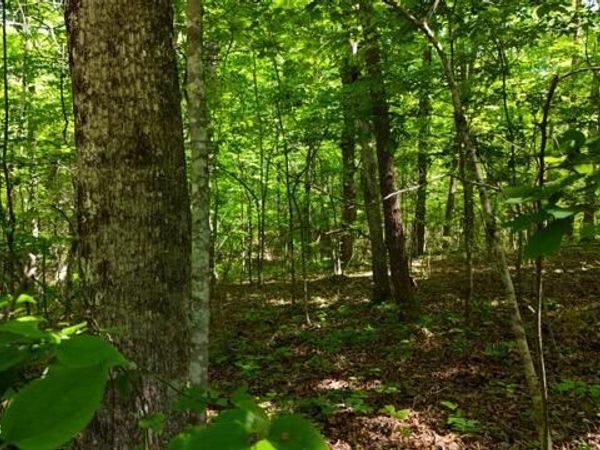 Lot 37/38A T Crowe Circle, Soddy-Daisy, TN 37379