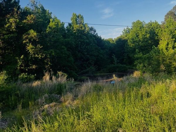Lot 4 Parkwood , Monticello, AR 71655