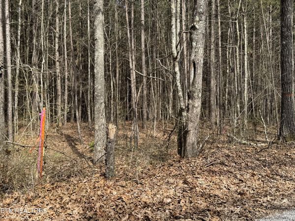 Sam Summers Rd, Rockwood, TN 37854