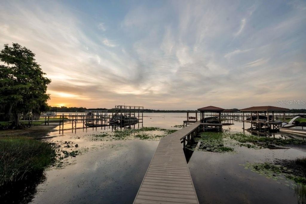 2503 Butler Bay Drive N, Windermere, FL 34786 Photo