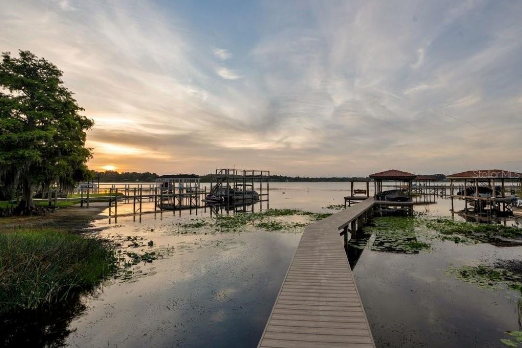2503 Butler Bay Drive N, Windermere, FL 34786 Photo