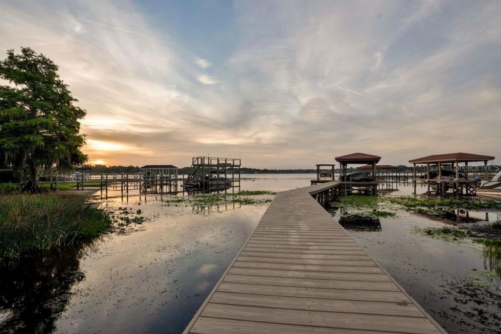 2503 Butler Bay Drive N, Windermere, FL 34786 Photo