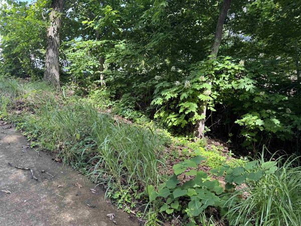 00 SEVEN OAKS CV, Savannah, TN 38372