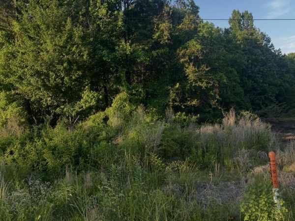 Lot 83 Parkwood , Monticello, AR 71655