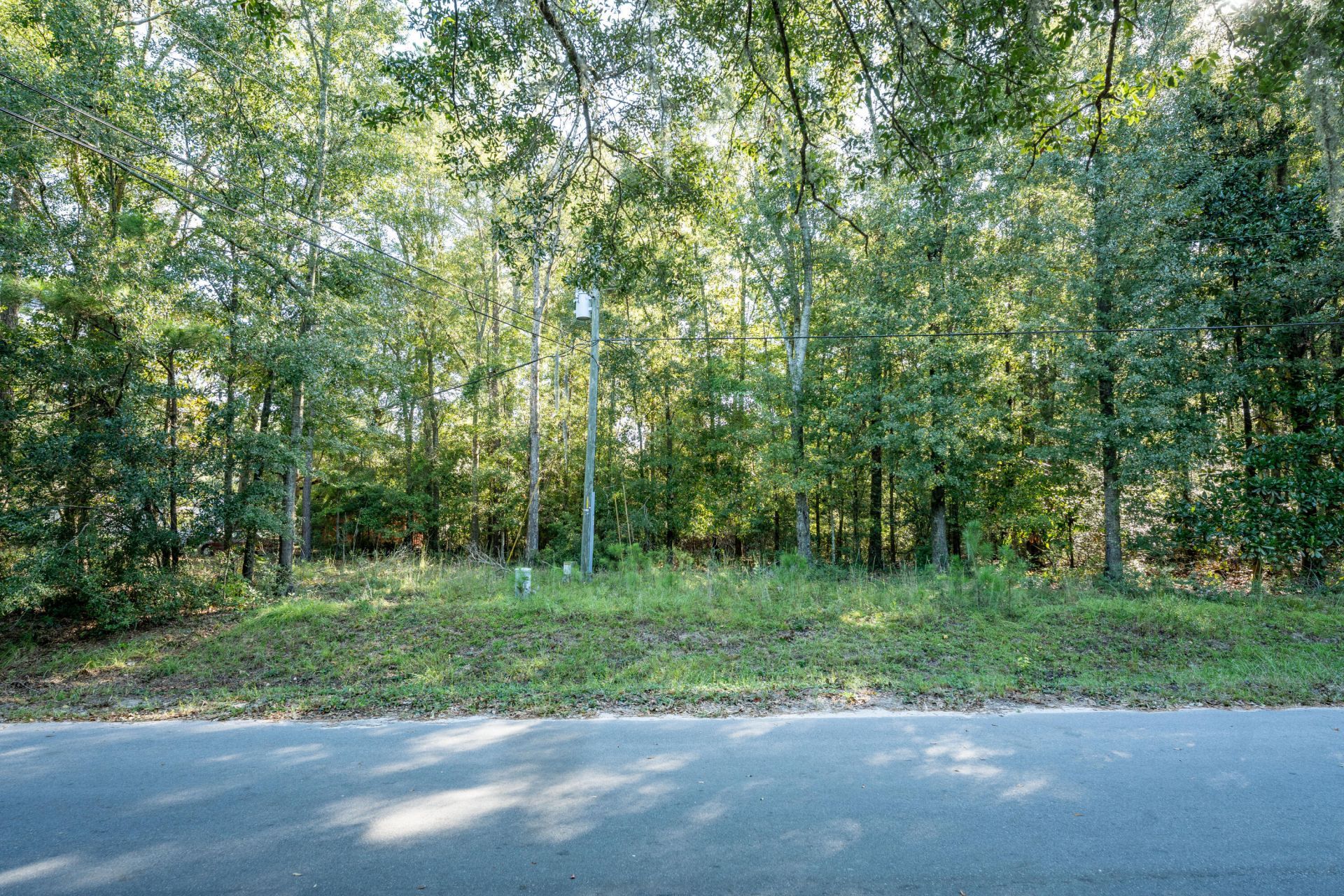 1214 Main Road Photo 11