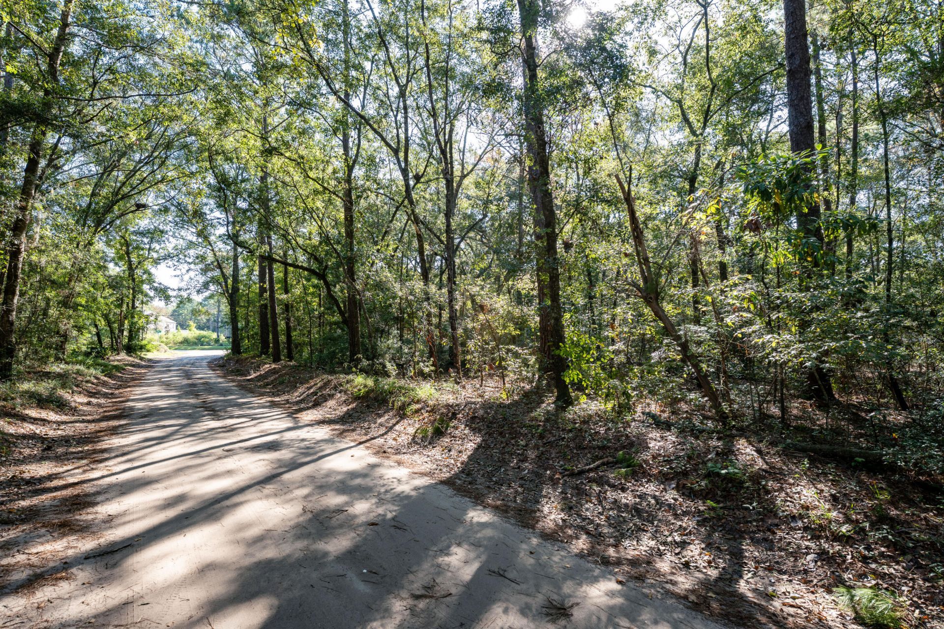 1214 Main Road Photo 12