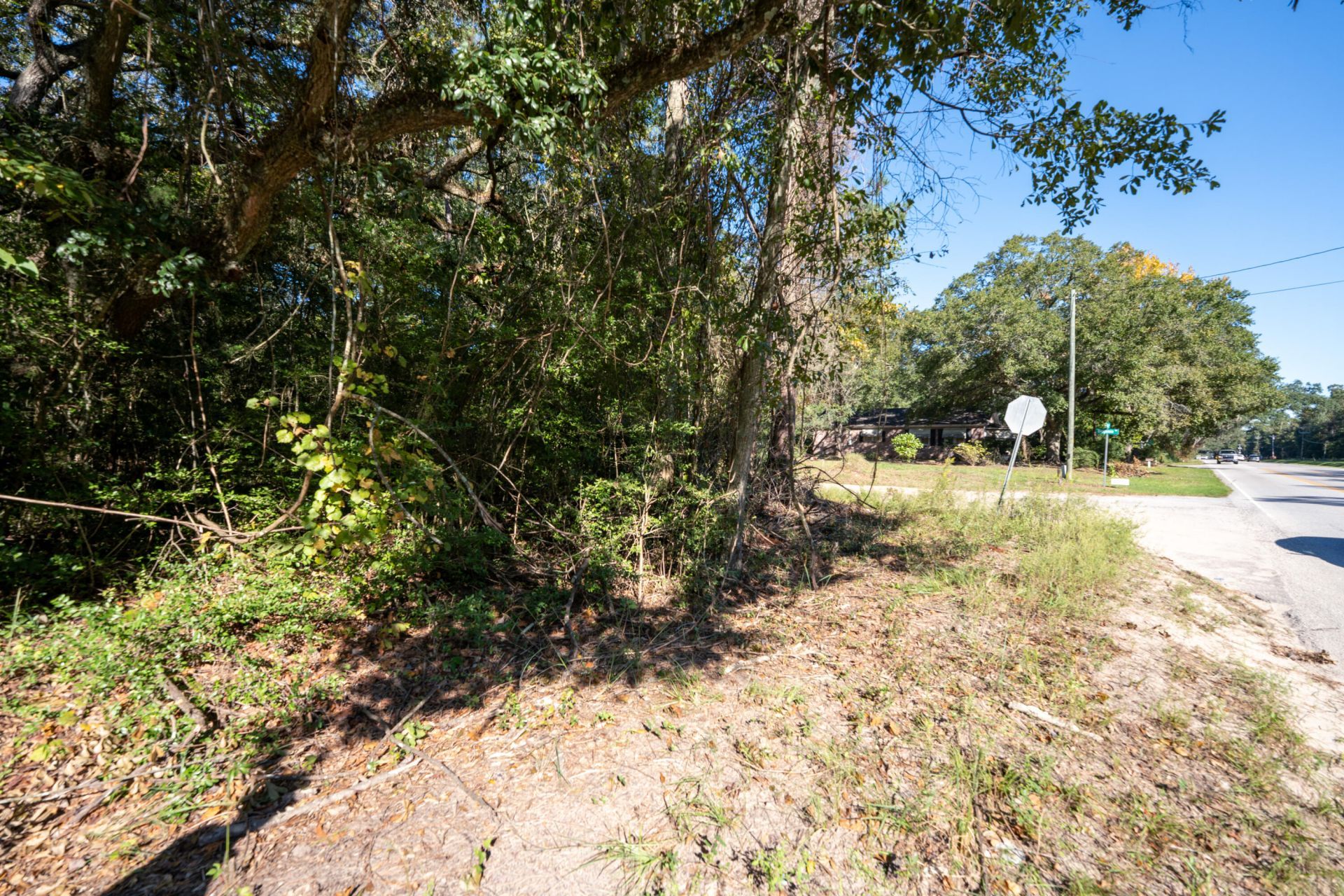 1214 Main Road Photo 13