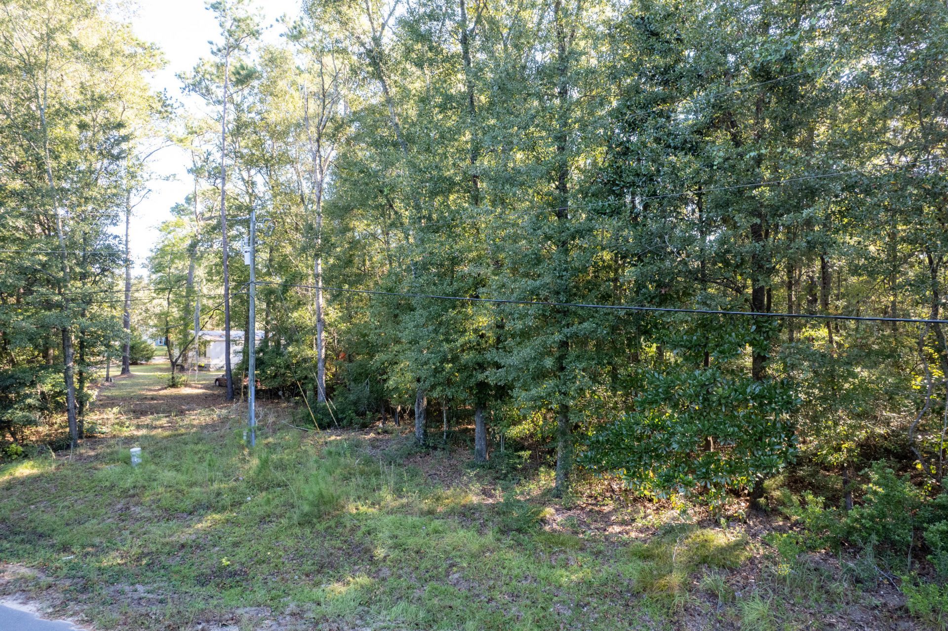 1214 Main Road Photo 15