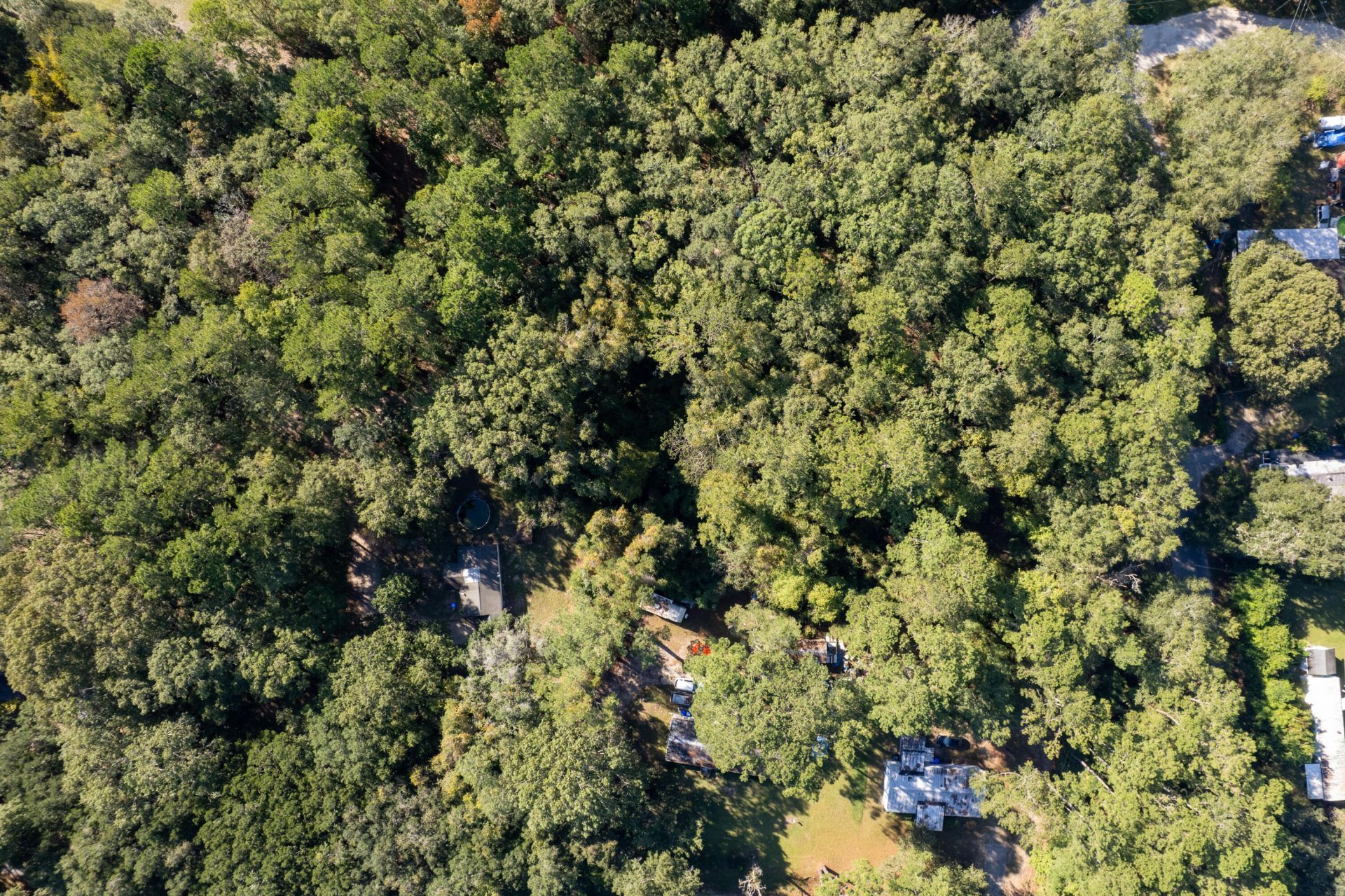 1214 Main Road Photo 17