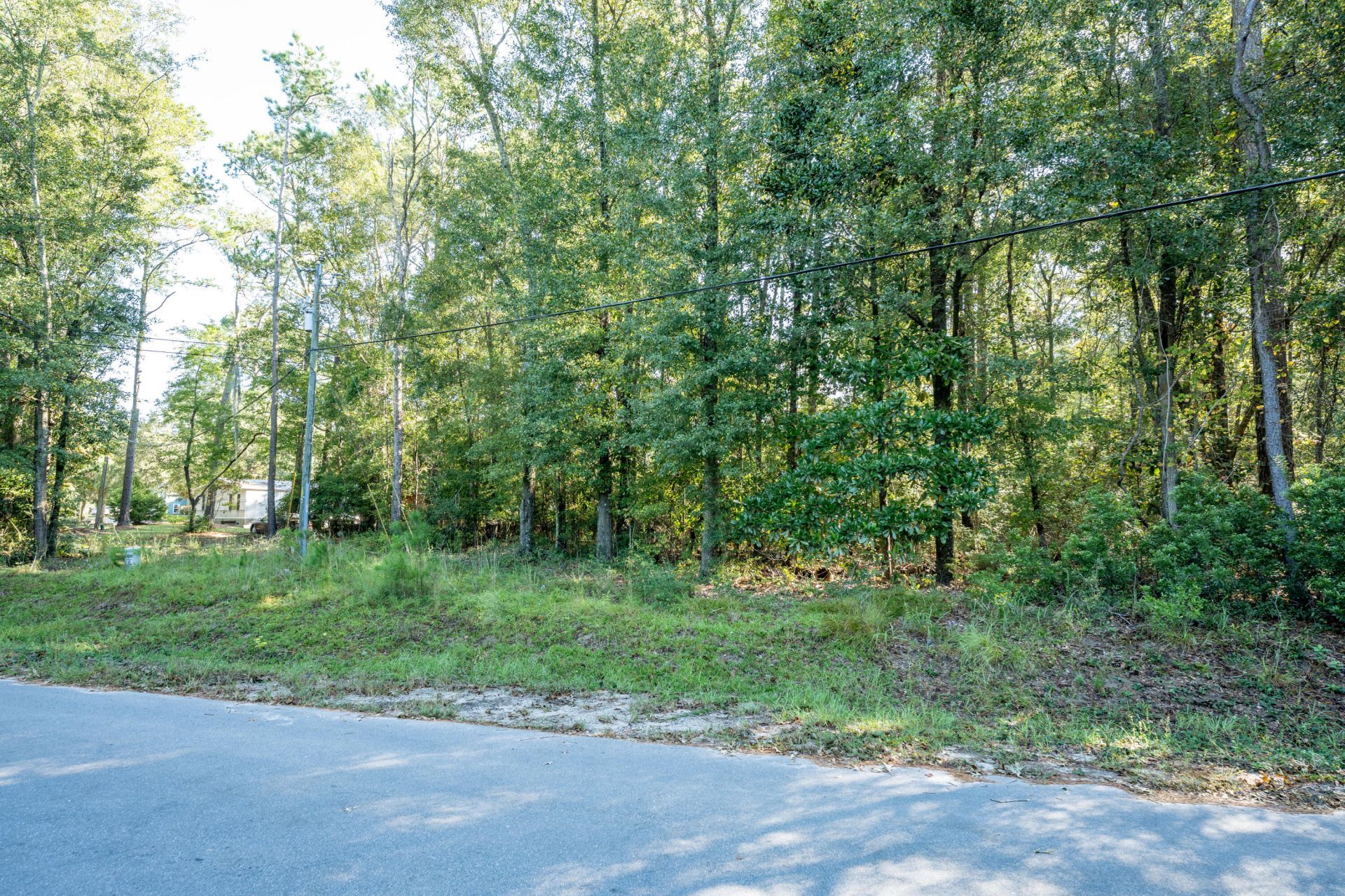 1214 Main Road Photo 8