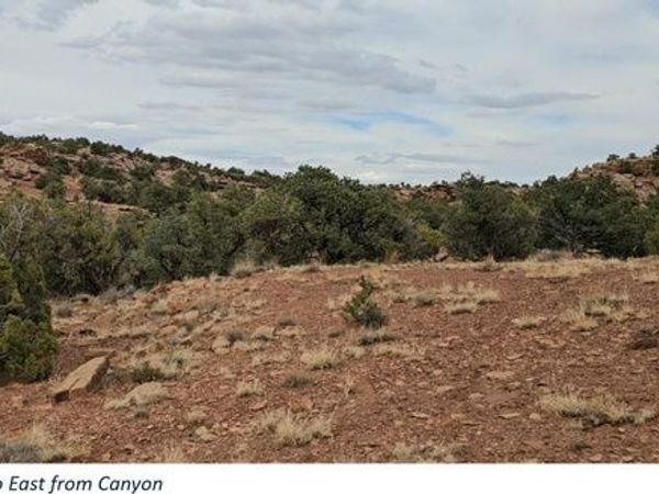 Torrey, UT 84775