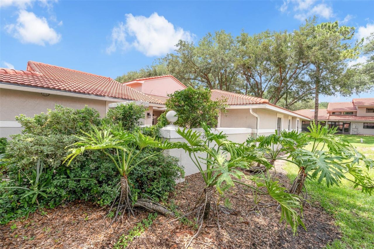 8237 Breeze Cove Lane, Orlando, FL 32819 Photo