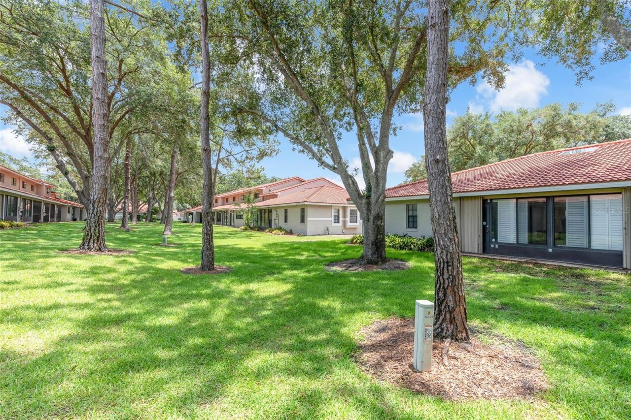 8237 Breeze Cove Lane, Orlando, FL 32819 Photo