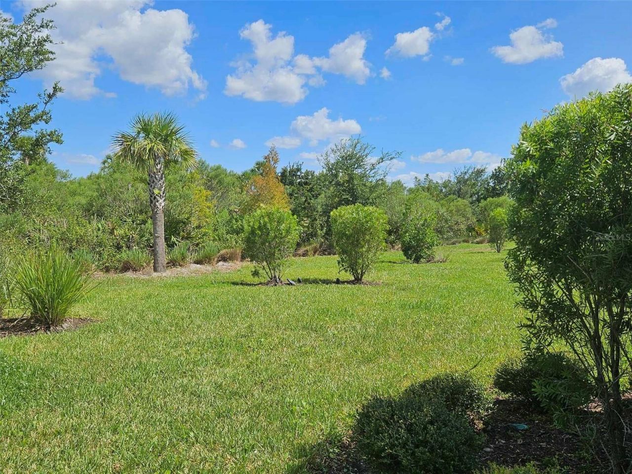 3270 Francoa Drive, Odessa, FL 33556 Photo