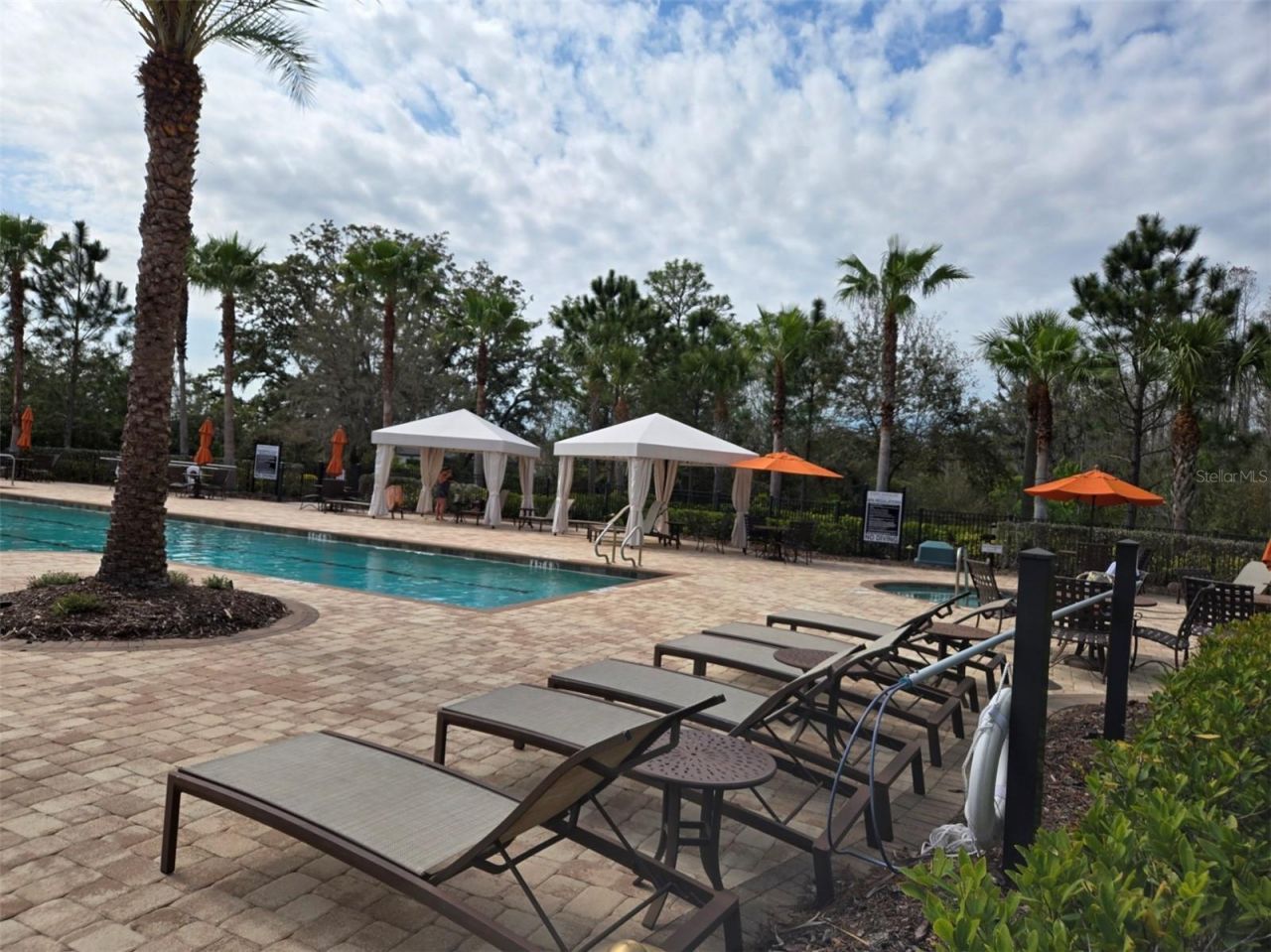 3270 Francoa Drive , Odessa, FL 33556 Photo