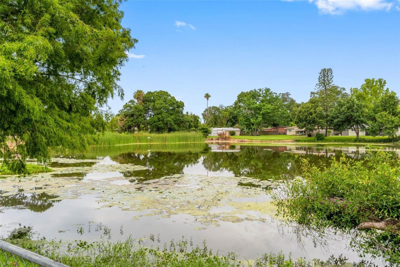 126 W Grapefruit Circle, Clearwater, FL 33759 Photo