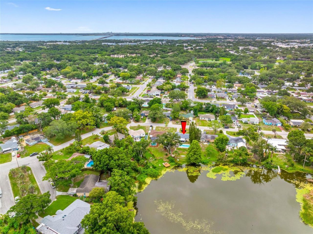 126 W Grapefruit Circle, Clearwater, FL 33759 Photo