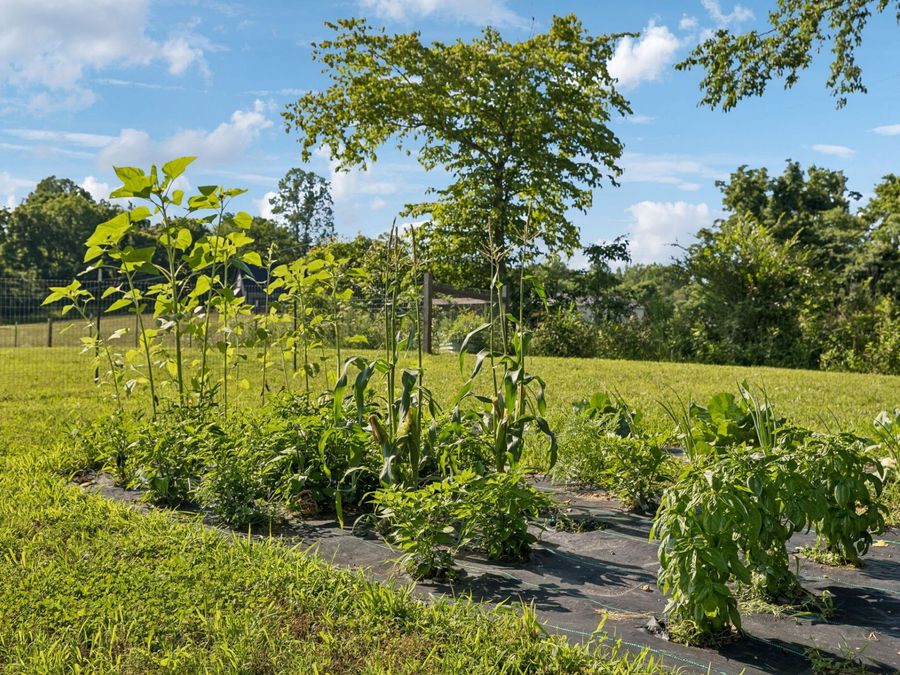 Property Image 60