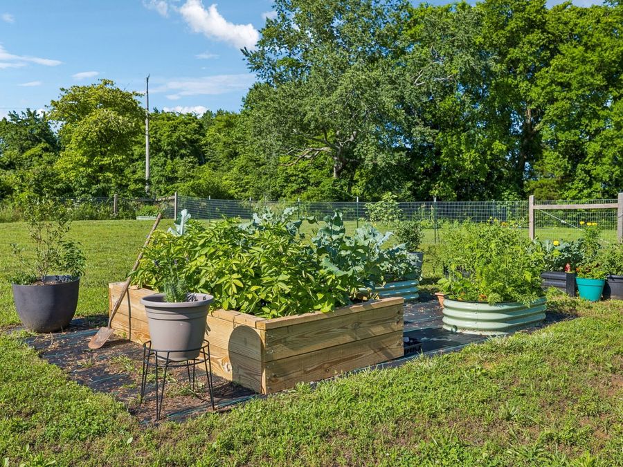 Property Image 64