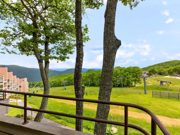 347 DOBIE CONDOS, Wintergreen Resort, VA 22967