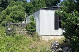 Tba Dillon photo 4