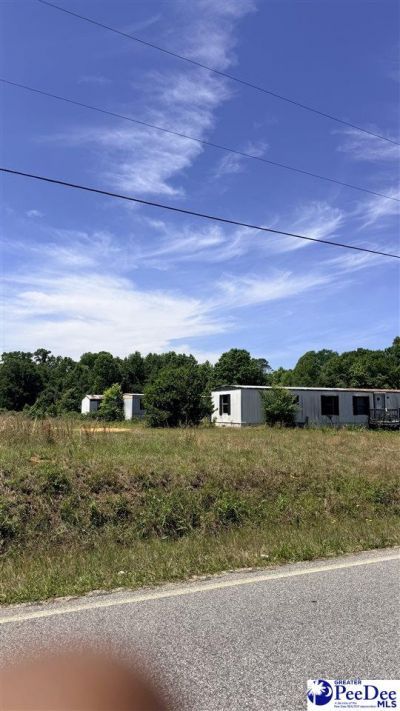 Tba Dillon Photo 5