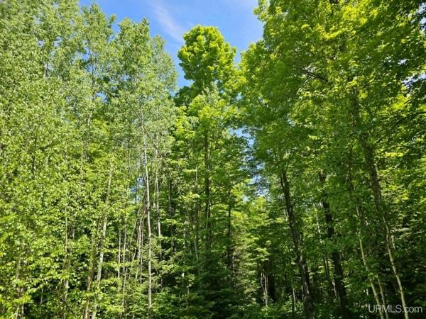 W Herzog Road, Sagola Twp, MI 49801