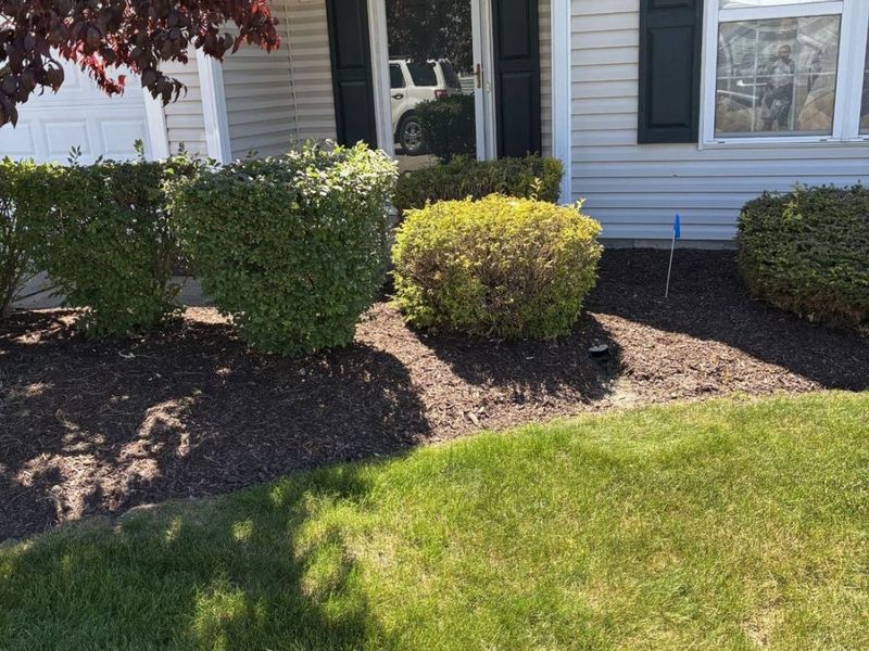 326 Breckenridge Oval, Elyria, OH 44035 Photo 2