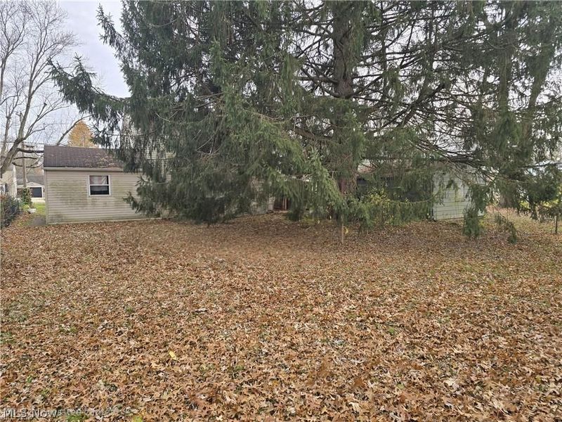 3560 Arden Boulevard, Youngstown, OH 44511 Photo 3