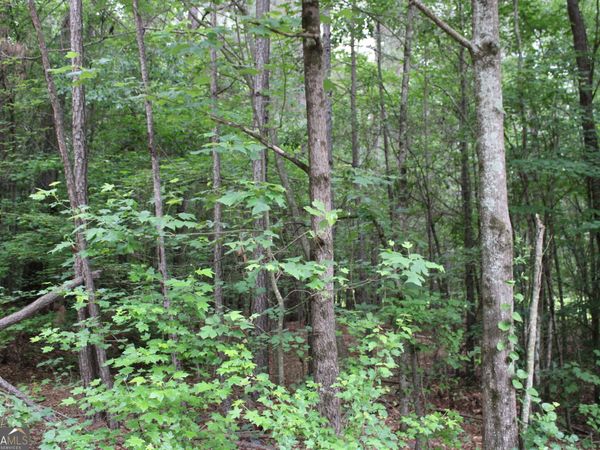 1 Garnett Ward Road, Hull, GA 30646