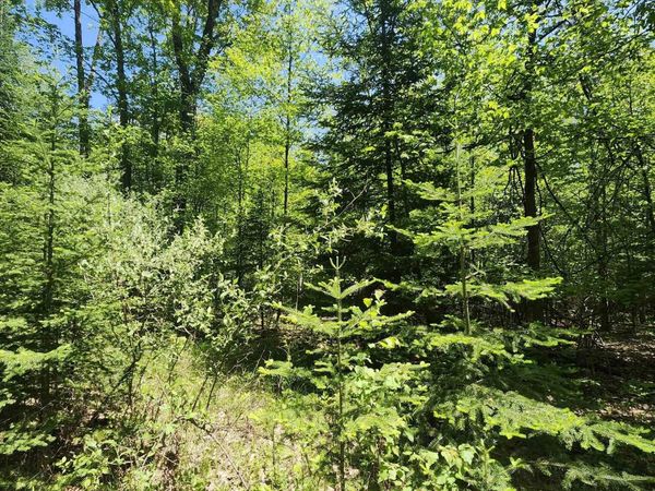 Rose Circle, Lupton, MI 48635