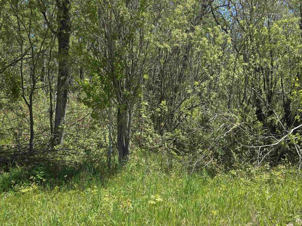 Mill Street, Levering, MI 49755