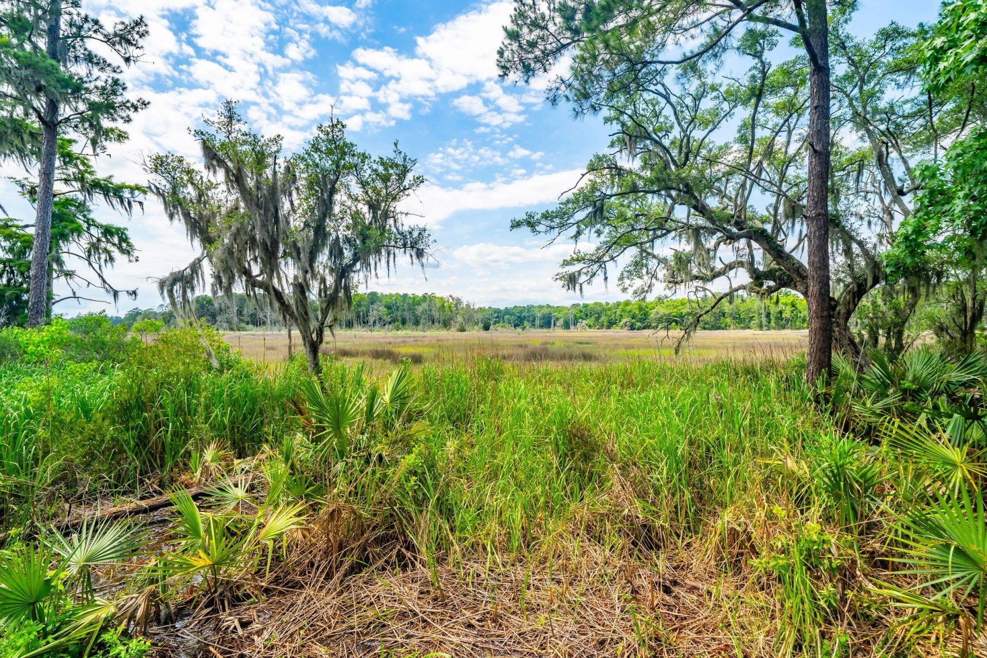 5104 Wapiti Way Photo 72