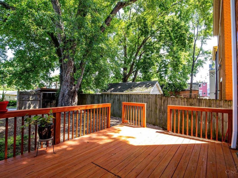 4316 Beech Hill Avenue, Cincinnati, OH 45223 Photo 22